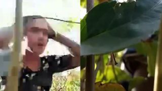 Bhabhi bf ny ki Khet Mey Chudai Dehati Sex